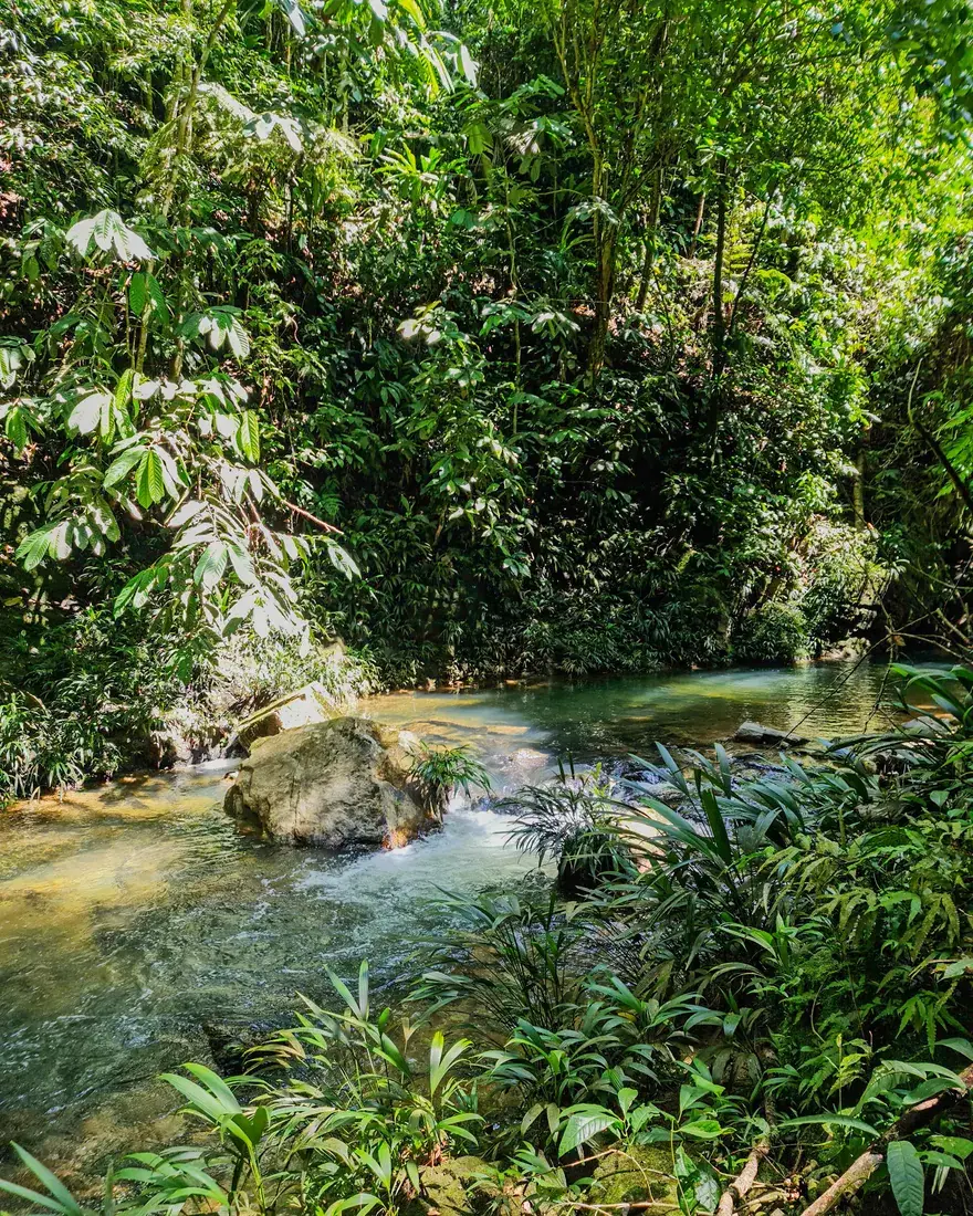 Expedición La Danta