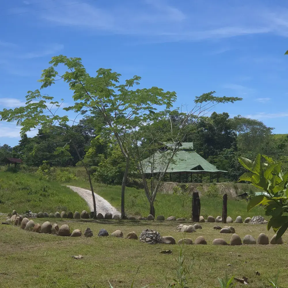 Gathering space in the meadow, surrounded by forest