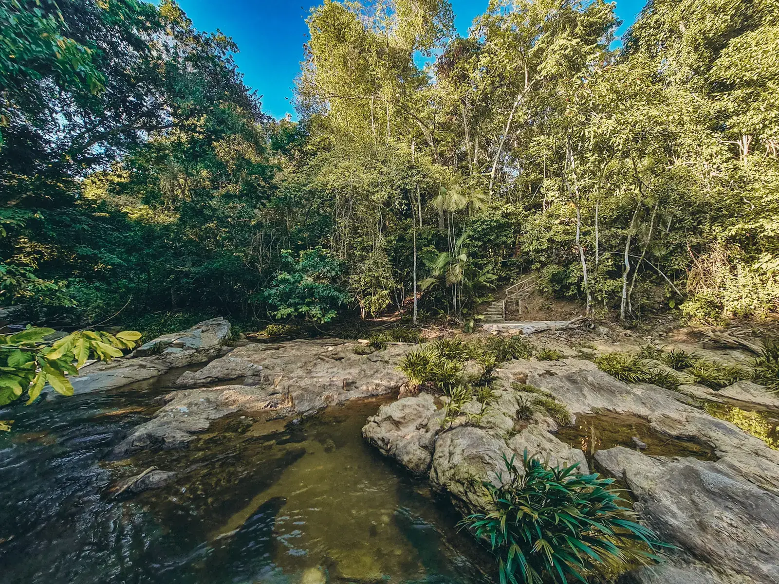 Río y bosque del territorio que cuida la familia EntreAguas